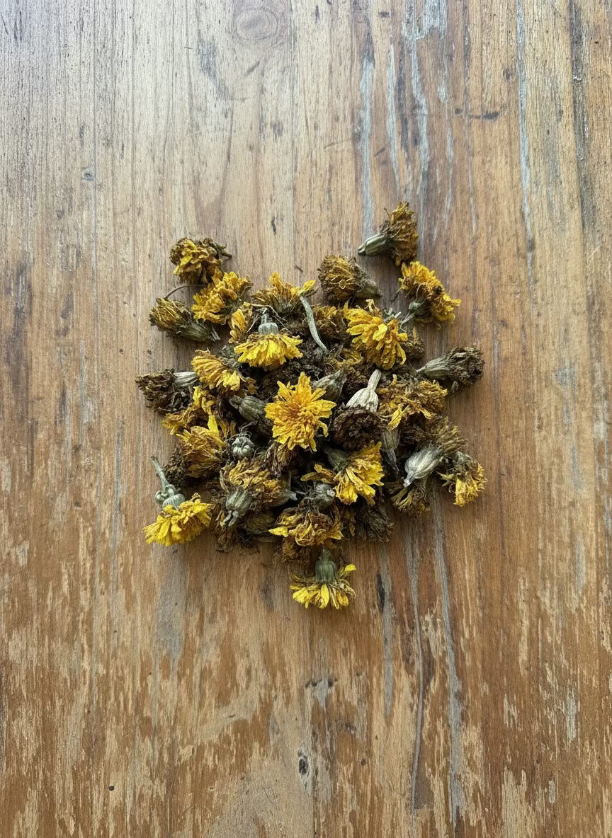Yellow dried flowers and seeds on a wooden table. 